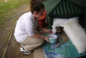 Veterinary Medicine & <br /> Animal Care Veterinary Medicine & Animal Care