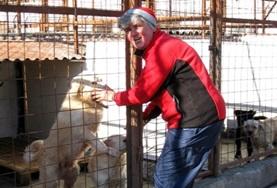 Veterinary Medicine & <br /> Animal Care Veterinary Medicine & Animal Care