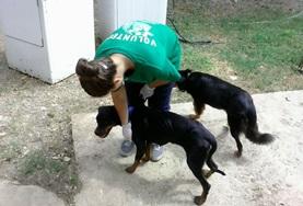 Veterinary Medicine & <br /> Animal Care Veterinary Medicine & Animal Care