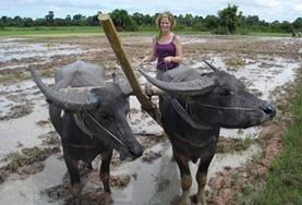 Culture & Community A volunteer in Cambodia learns more about the Khmer culture during her cultural immersion project.