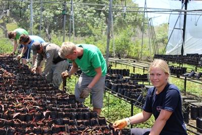 Group of volunteers working on the conservation project in Ecuador, South America Volunteers working at a conservation project in Ecuador