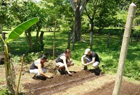 Costa Rica Conservation volunteers plant seedlings in the rainforest in Costa Rica.