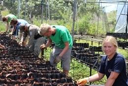 Ecuador Conservation volunteers tend to seedlings at a tree nursery, helping with reforestation efforts in Ecuador.