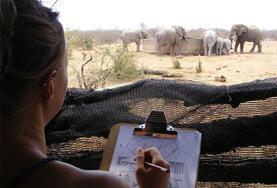 Conservation & Environment A Conservation volunteer records the population number and behaviours of a herd of elephants at a wildlife reserve in Botswana, Southern Africa.