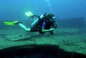 Thailand A Marine Conservation volunteer monitors sea creatures during a dive off the coast of Thailand.