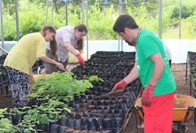 Ecuador High School Project volunteers take care of seedlings at a tree nursery at the Care & Conservation placement in Ecuador.