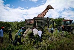 Kenya Kenya