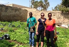 Micro-Finance A Micro-finance volunteer talks to local Talibé entrepreneurs about their business plans as part of her internship in Senegal.