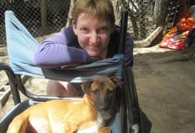 Veterinary Medicine & <br /> Animal Care A Veterinary Medicine & Animal Care volunteer spends time working with a dog at a local shelter in Argentina.
