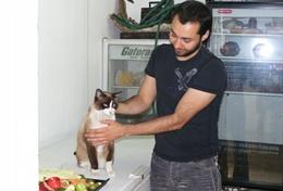 Veterinary Medicine & <br /> Animal Care A Veterinary Medicine volunteer cares for and treats a cat at his placement in Mexico.